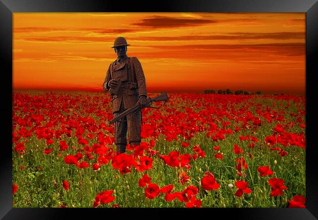 We Will Remember Them Framed Print by Martyn Arnold