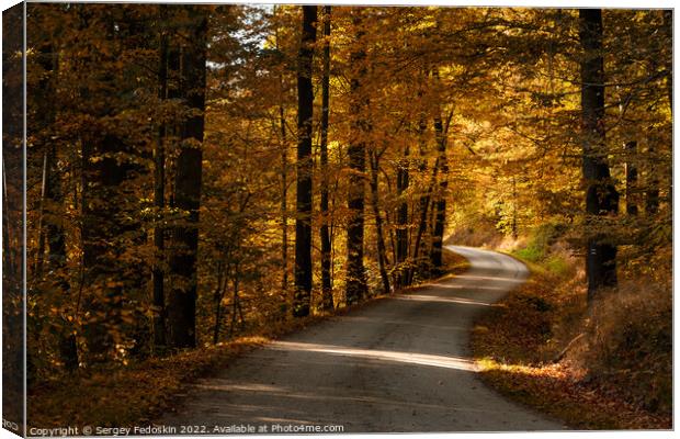 Road in the autumn forest. Canvas Print by Sergey Fedoskin