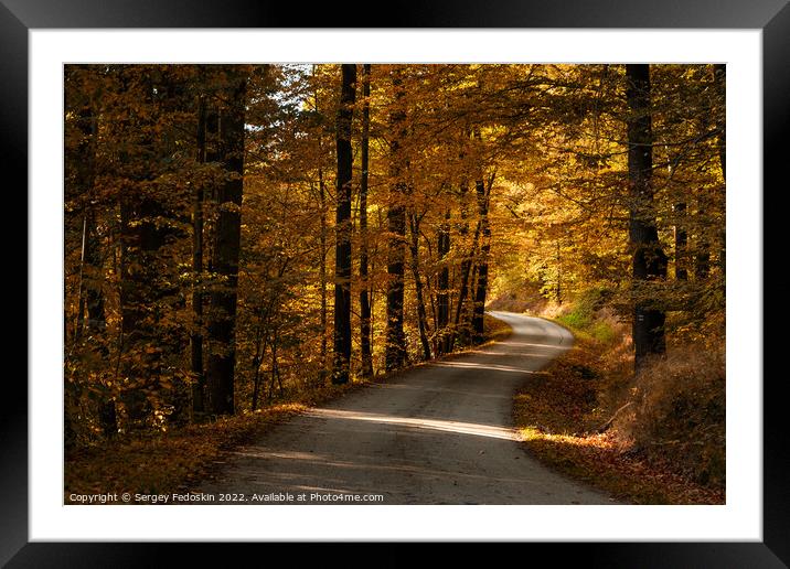 Road in the autumn forest. Framed Mounted Print by Sergey Fedoskin