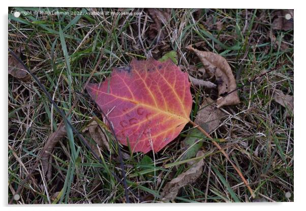 Fall Colors Donald Park Oct 17th (35A) Acrylic by Philip Lehman