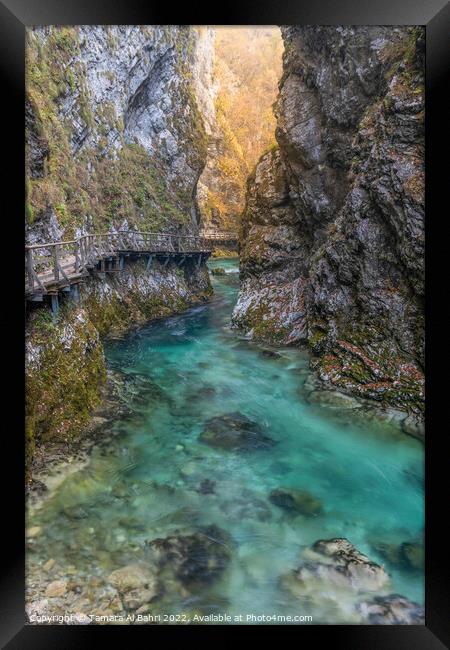 Vintgar Gorge, Slovenia Framed Print by Tamara Al Bahri