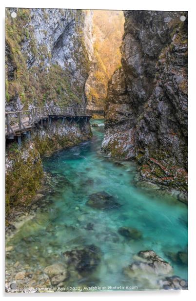 Vintgar Gorge, Slovenia Acrylic by Tamara Al Bahri