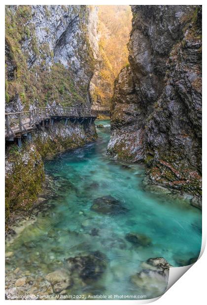 Vintgar Gorge, Slovenia Print by Tamara Al Bahri