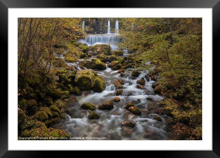 Kroparica Stream, Slovenia Framed Mounted Print by Tamara Al Bahri