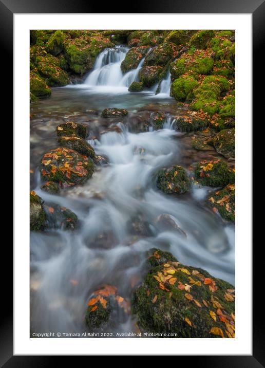 Kroparica Stream, Slovenia Framed Mounted Print by Tamara Al Bahri