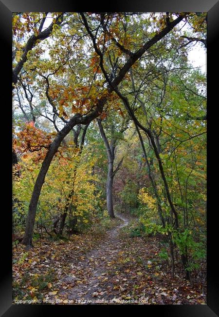 Fall Colors Donald Park Oct 17th (69A) Framed Print by Philip Lehman