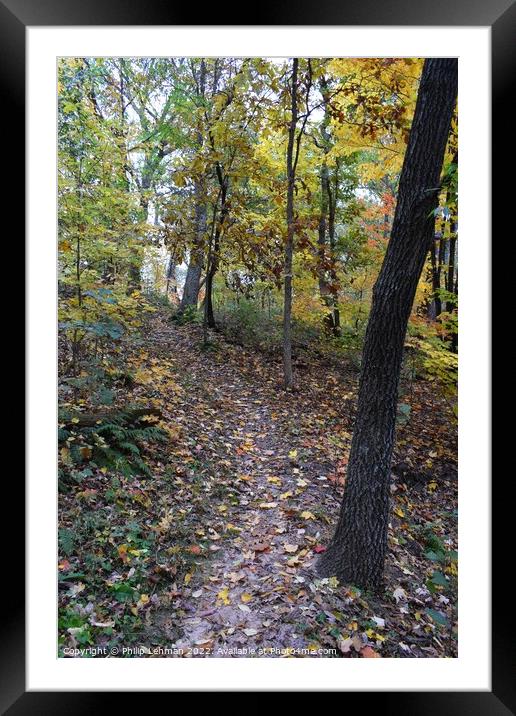 Fall Colors Donald Park Oct 17th (64A) Framed Mounted Print by Philip Lehman