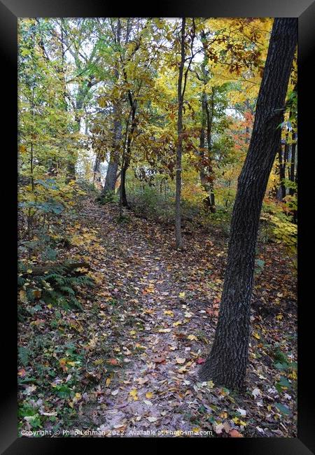 Fall Colors Donald Park Oct 17th (64A) Framed Print by Philip Lehman