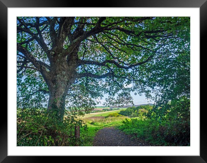 Beautiful North Devon countryside Framed Mounted Print by Tony Twyman