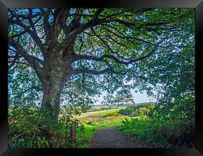 Beautiful North Devon countryside Framed Print by Tony Twyman