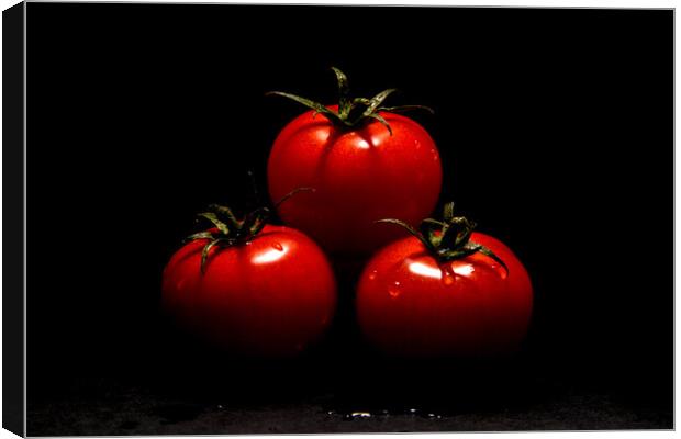  Tomatoes  Canvas Print by Will Ireland Photography