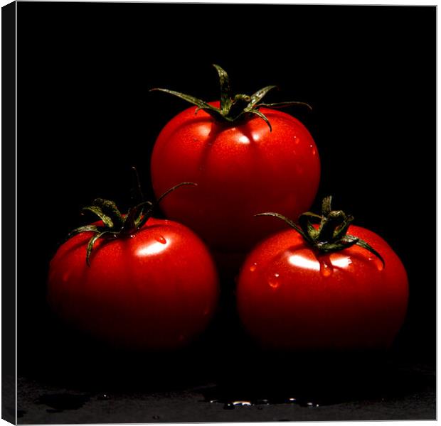 Tomatoes  Canvas Print by Will Ireland Photography