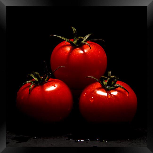  Tomatoes  Framed Print by Will Ireland Photography