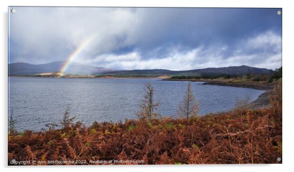 View with rainbow over clatteringshaws loch Acrylic by Ann Biddlecombe