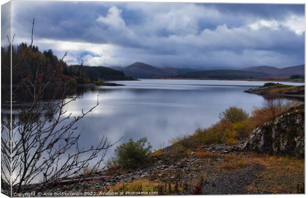 Stormy View Over Loch Doon Canvas Print by Ann Biddlecombe