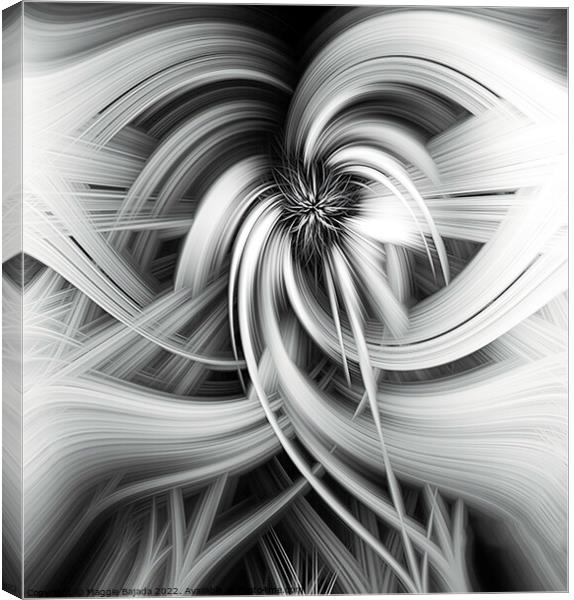 Monochrome of Spiral, Star Pattern, Abstract Art. Canvas Print by Maggie Bajada