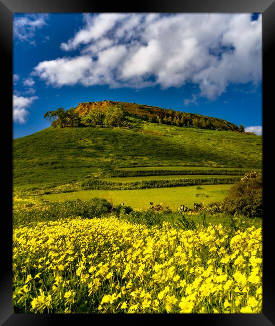 The Green and Yellow Hill of il-Gelmus of Gozo. Framed Print by Maggie Bajada