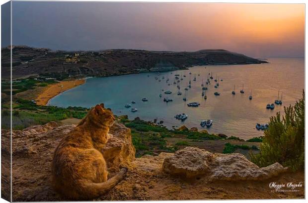 Cat watching the sunset over Ramla Bay, Gozo, Malta. Canvas Print by Maggie Bajada