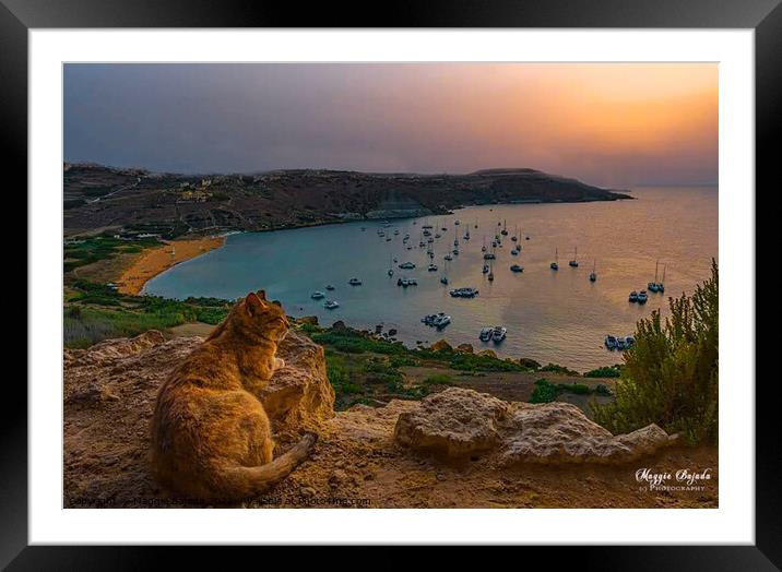Cat watching the sunset over Ramla Bay, Gozo, Malta. Framed Mounted Print by Maggie Bajada