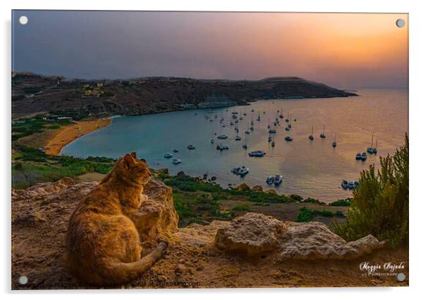 Cat watching the sunset over Ramla Bay, Gozo, Malta. Acrylic by Maggie Bajada
