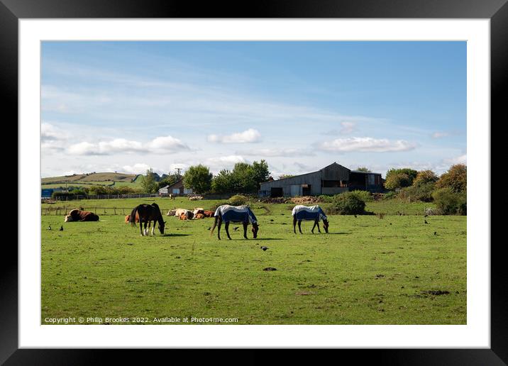 Farsyde Farm, Yorkshire Framed Mounted Print by Philip Brookes