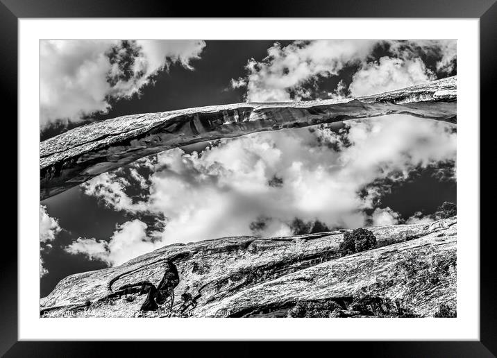 Landscape Arch Black White Rock Canyon Devils Garden Arizona Framed Mounted Print by William Perry