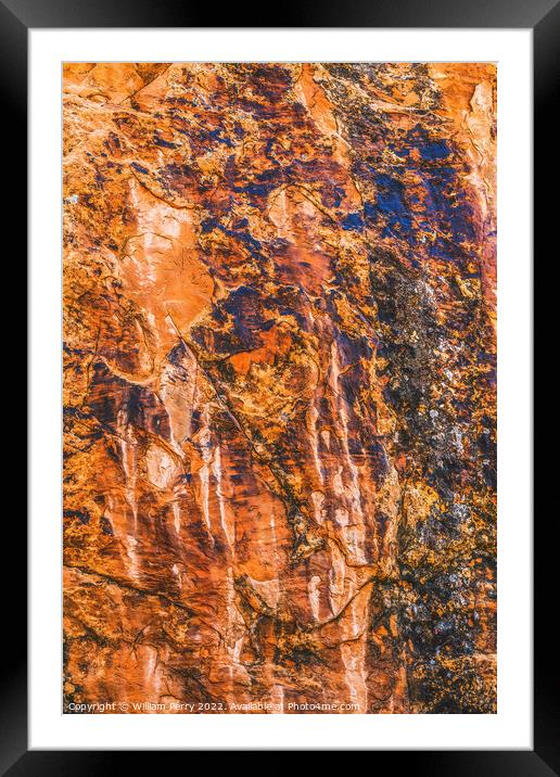 Rock Canyon Abstract Arches National Park Moab Utah Framed Mounted Print by William Perry
