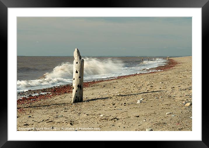 Solitary Coast Framed Mounted Print by David Borrill