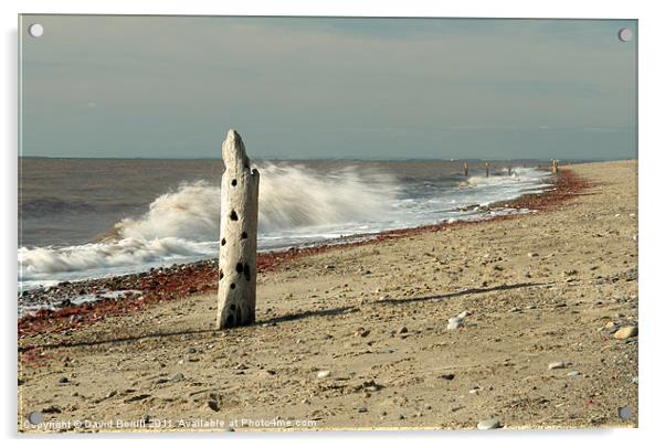 Solitary Coast Acrylic by David Borrill