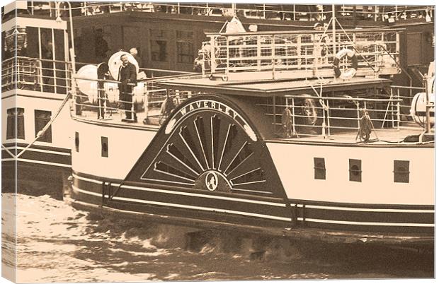 Waverley Paddle Steamer Canvas Print by Steve Purnell