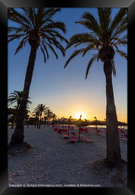 Majorca sunrise beach palm trees  Framed Print by Richard O'Donoghue