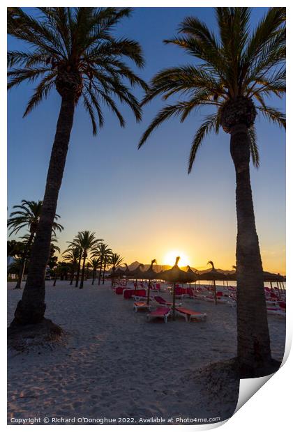 Majorca sunrise beach palm trees  Print by Richard O'Donoghue
