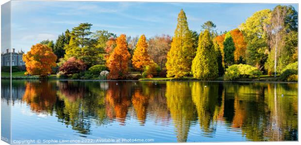 Autumn brilliance with dazzling colours bathed in  Canvas Print by Sophie Lawrence