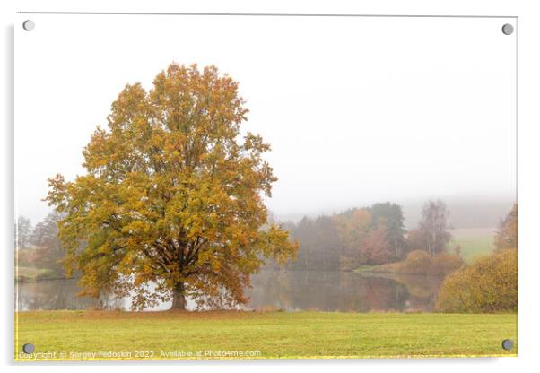 Foggy autumn morning. Acrylic by Sergey Fedoskin