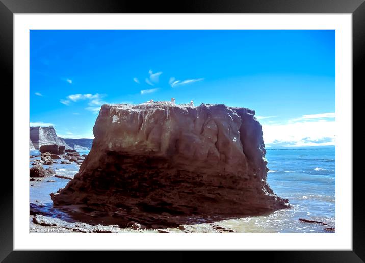Cape Kidnappers Rock Framed Mounted Print by Errol D'Souza