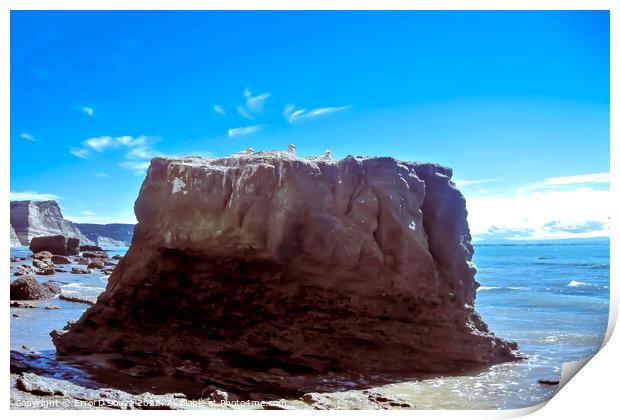 Cape Kidnappers Rock Print by Errol D'Souza