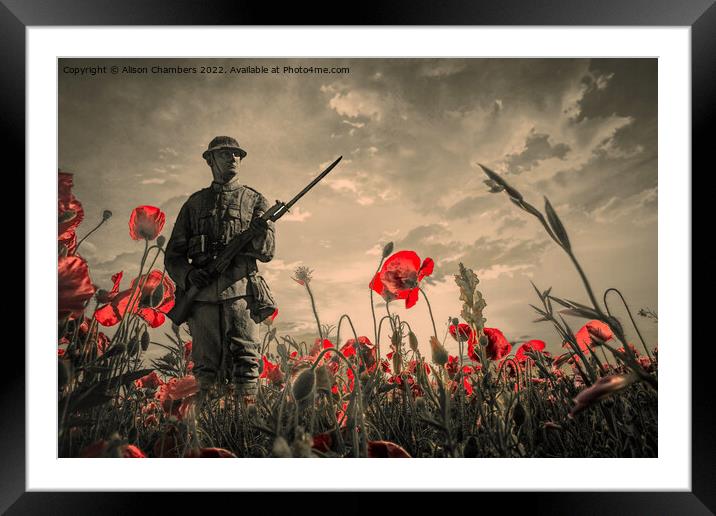 Lest We Forget  Framed Mounted Print by Alison Chambers