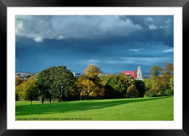 Barnsley Locke Park View Framed Mounted Print by Alison Chambers