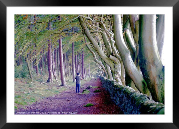 Beech trees, Upper moor,Matlock, Derbyshire  Framed Mounted Print by john hill