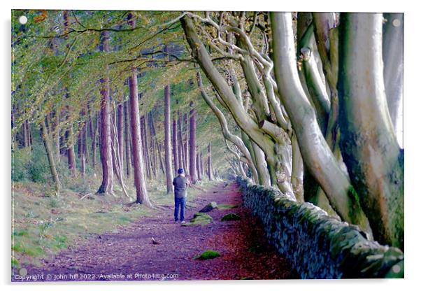 Beech trees, Upper moor,Matlock, Derbyshire  Acrylic by john hill