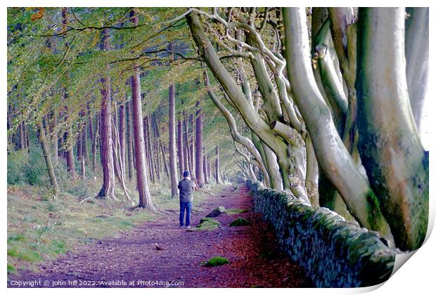 Beech trees, Upper moor,Matlock, Derbyshire  Print by john hill