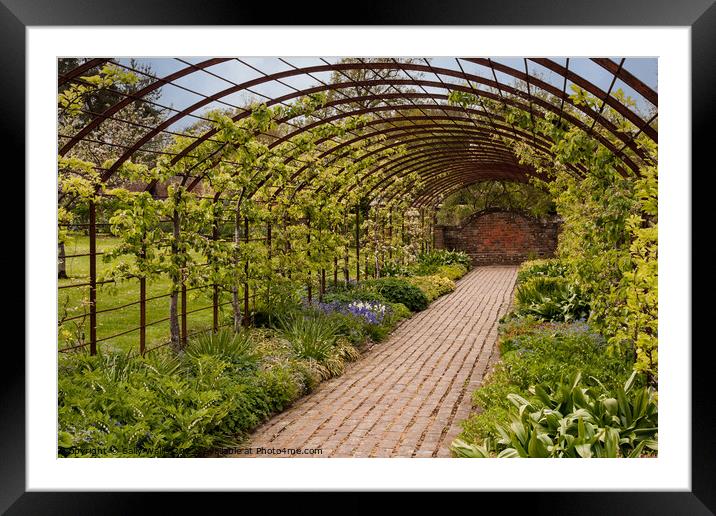 Pear Tunnel Framed Mounted Print by Sally Wallis