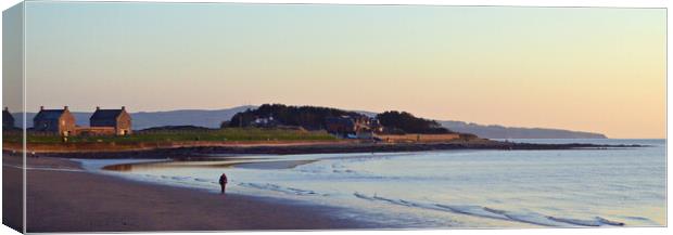 A beach to themself, Prestwick, Ayrshire Canvas Print by Allan Durward Photography