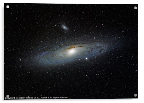 Andromeda galaxy from Northern hemisphere Acrylic by Ragnar Lothbrok