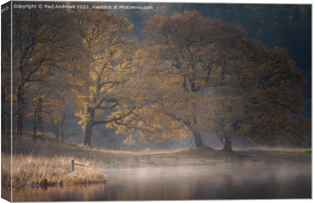 River Brathay Canvas Print by Paul Andrews