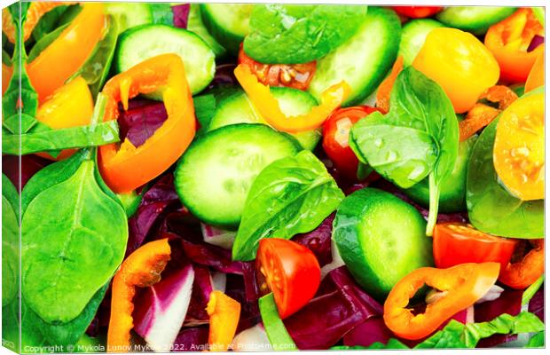 Colorful vegetable salad, food background Canvas Print by Mykola Lunov Mykola