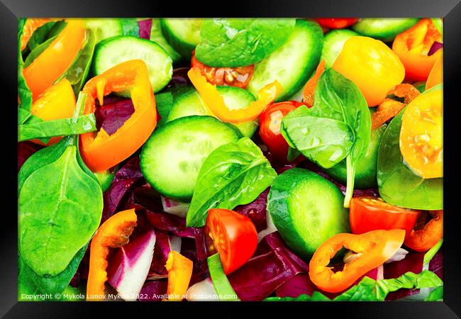 Colorful vegetable salad, food background Framed Print by Mykola Lunov Mykola