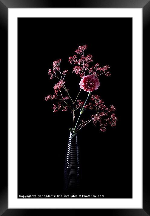 Pink And Black Framed Mounted Print by Lynne Morris (Lswpp)
