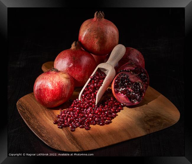 Fresh pomegranate fruits and seeds Framed Print by Ragnar Lothbrok