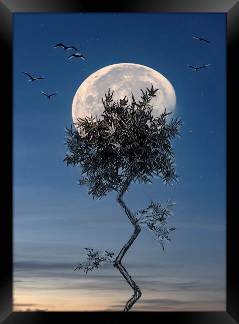 fly me to the moon Framed Print by kathy white